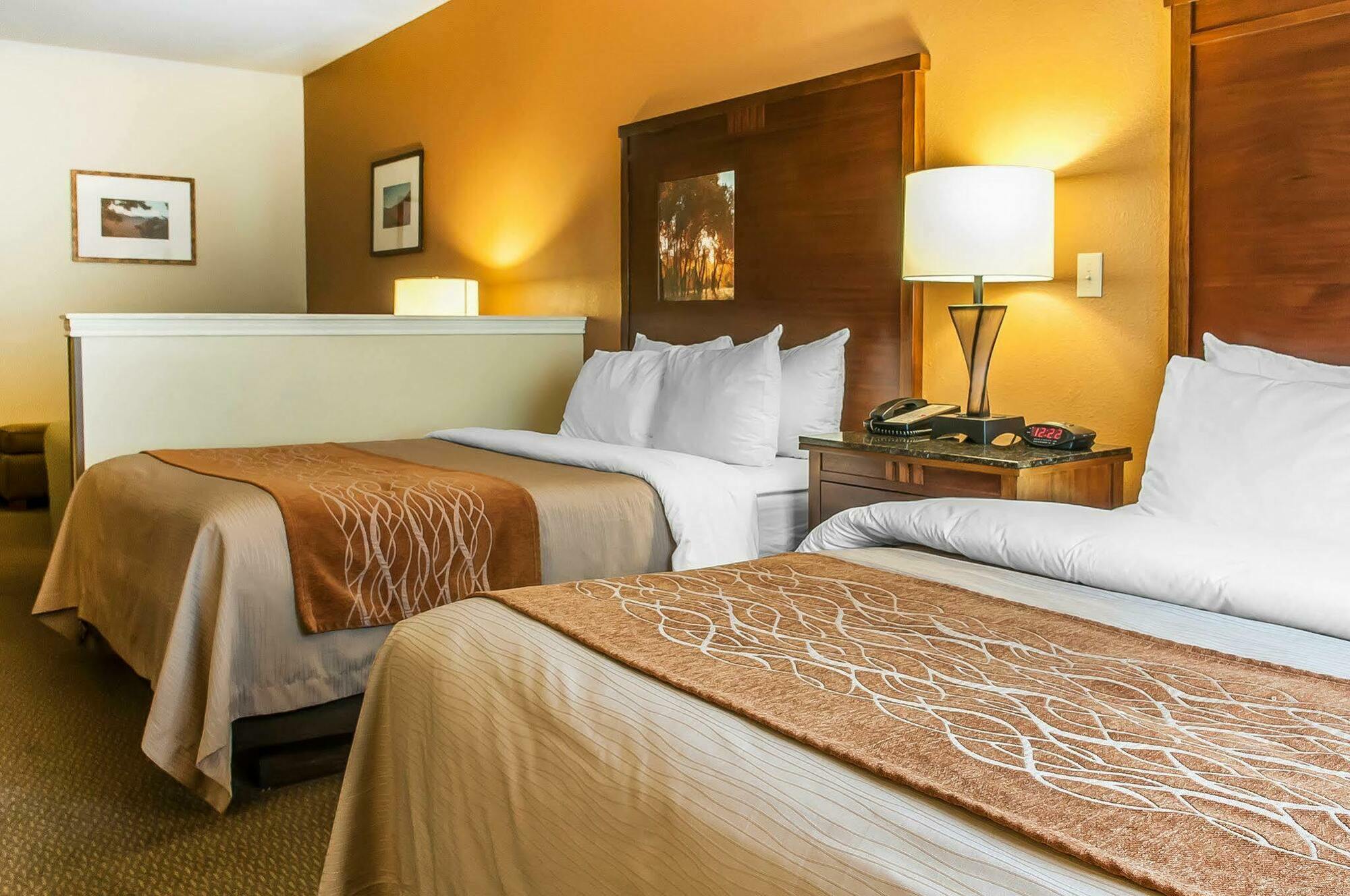 Comfort & Midtown 3*